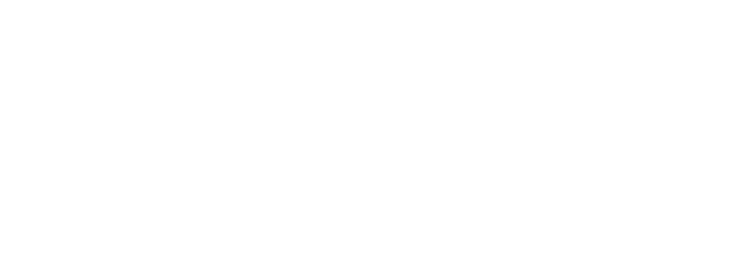 Rotaract Club León